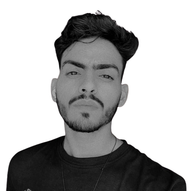 Author of the post - Vishal Meena