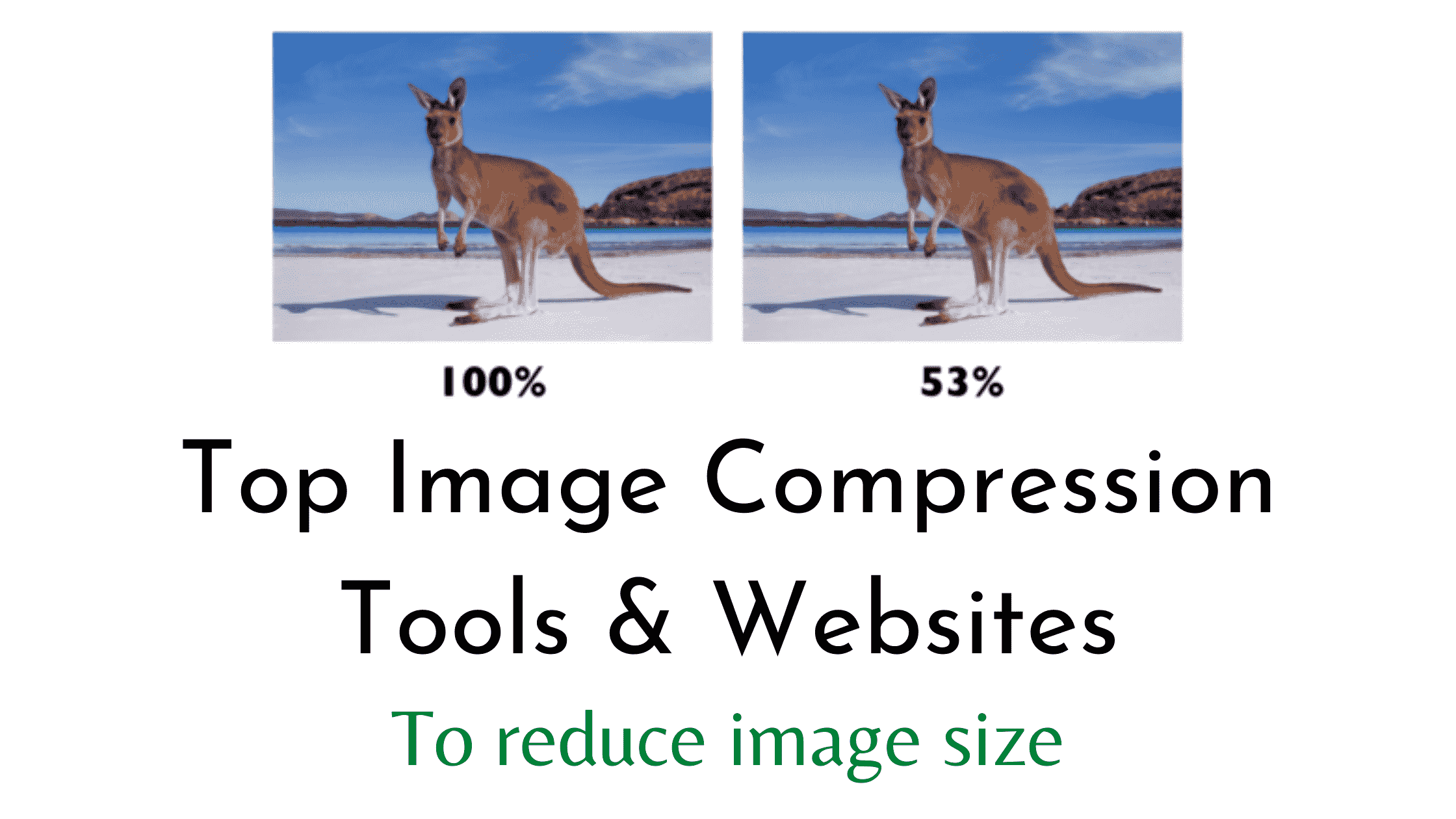 Best image compressor tools