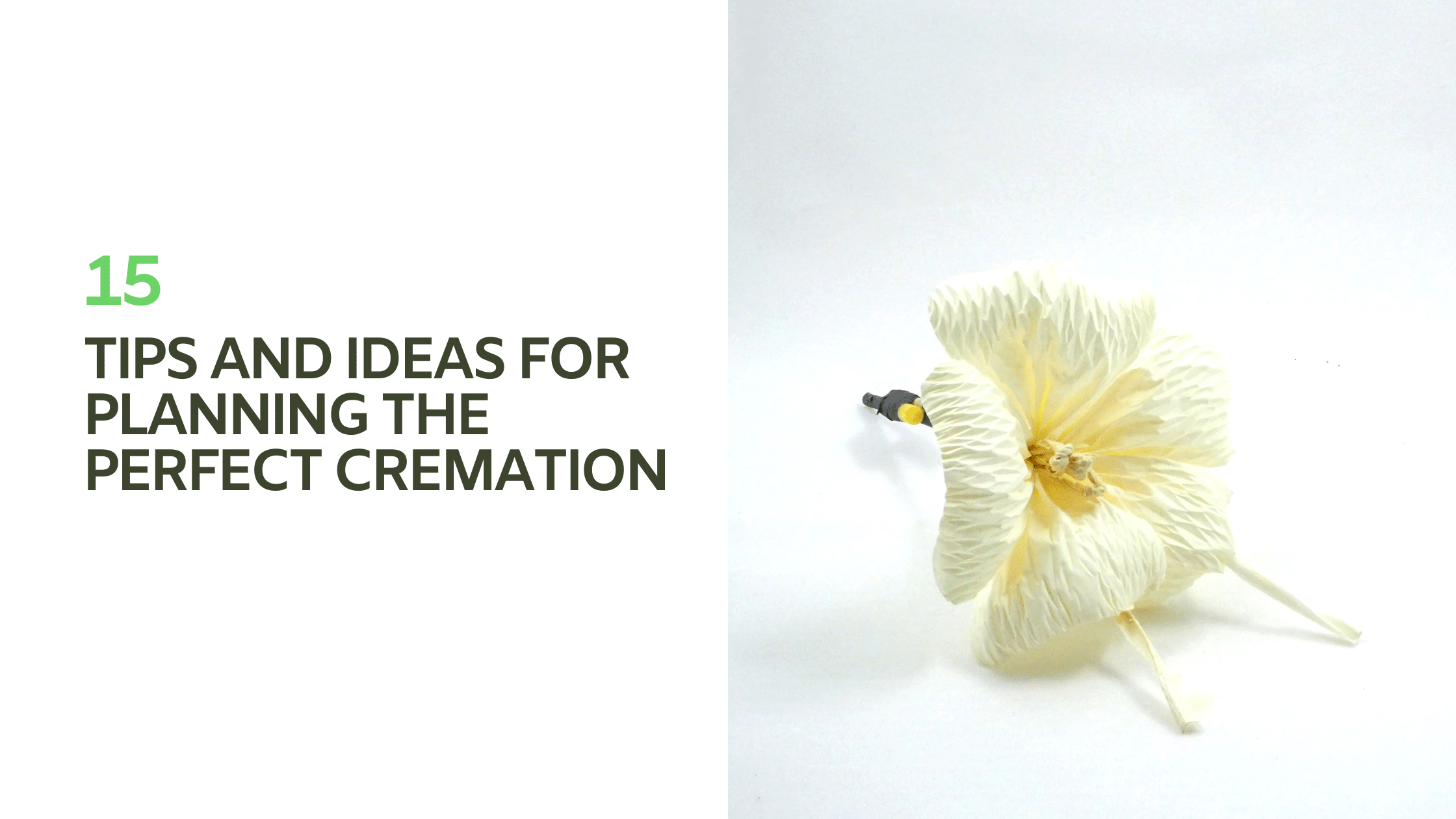 15 Tips and Ideas for Planning the Perfect Cremation